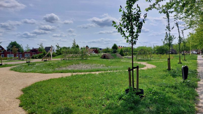 terneuzen gezonde buurt 2