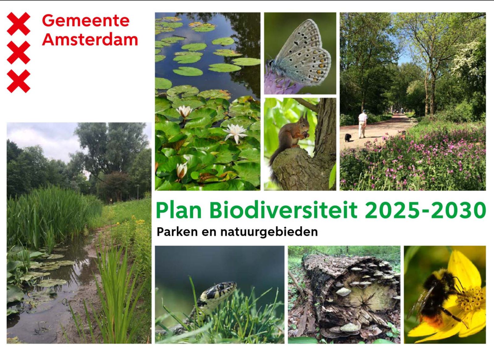 Biodiversiteitsplan Amsterdam