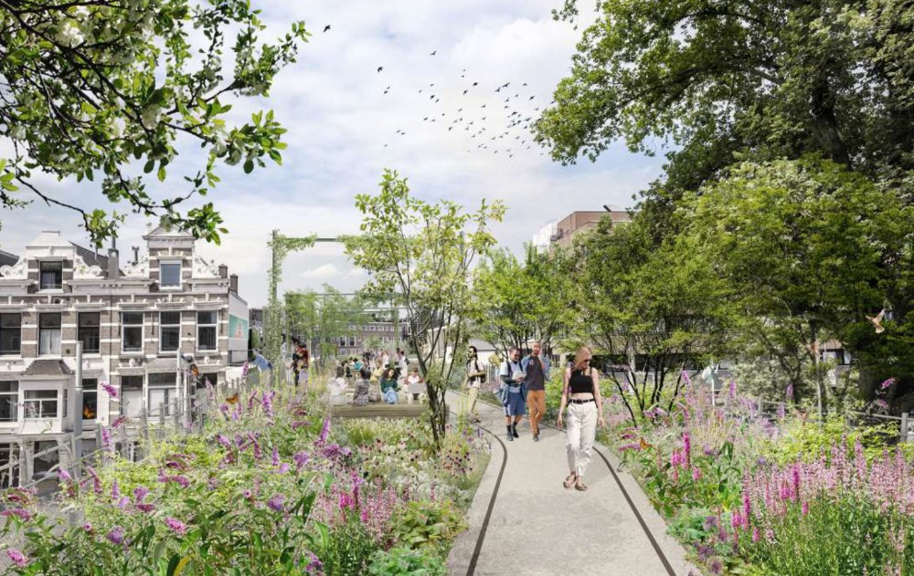 Ruige mix van planten Hofbogenpark