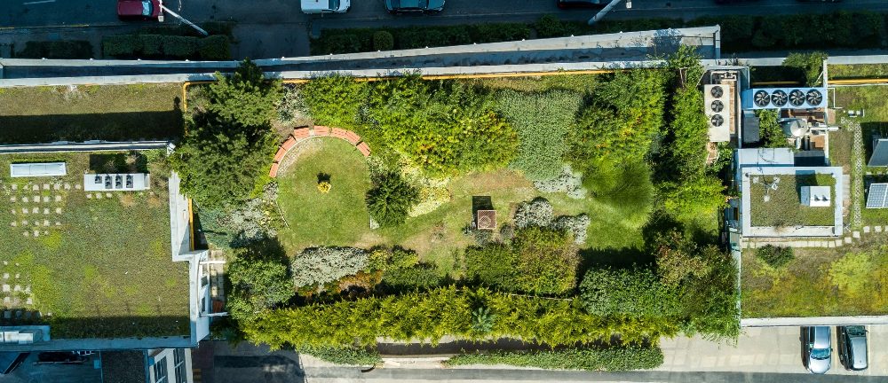 Daktuin Shutterstock